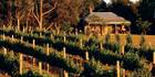 A cheese platter and wine at Fox Creek cellar door, McLaren Vale